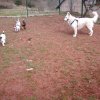 partie de jeux